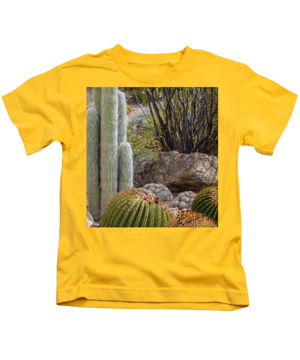 Cacti III Closeup - Kids T-Shirt