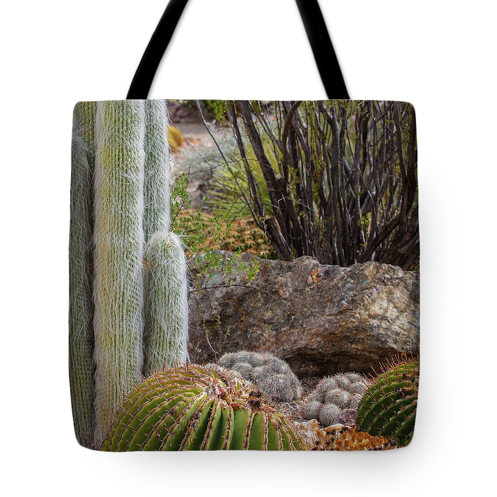 Cacti III Closeup - Tote Bag