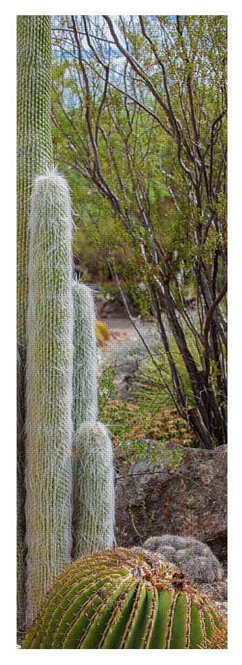 Cacti III - Yoga Mat