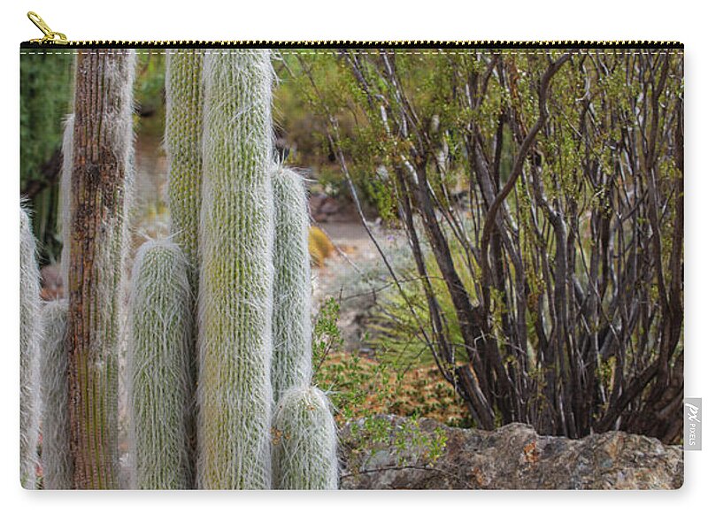 Cacti III - Zip Pouch