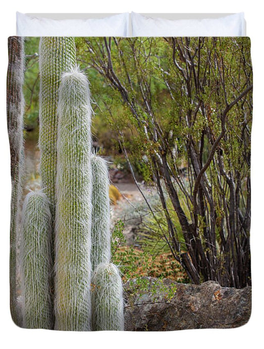 Cacti III - Duvet Cover