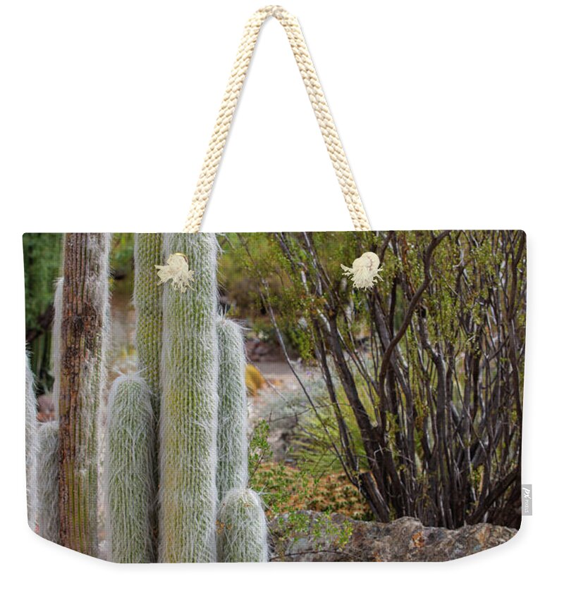 Cacti III - Weekender Tote Bag