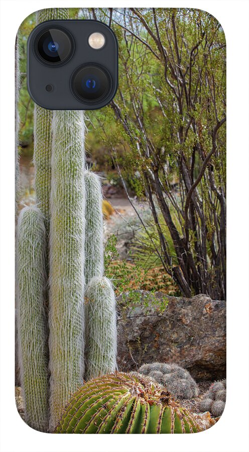 Cacti III - Phone Case
