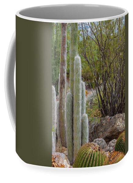 Cacti III - Mug