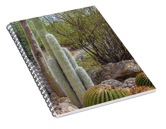 Cacti III - Spiral Notebook