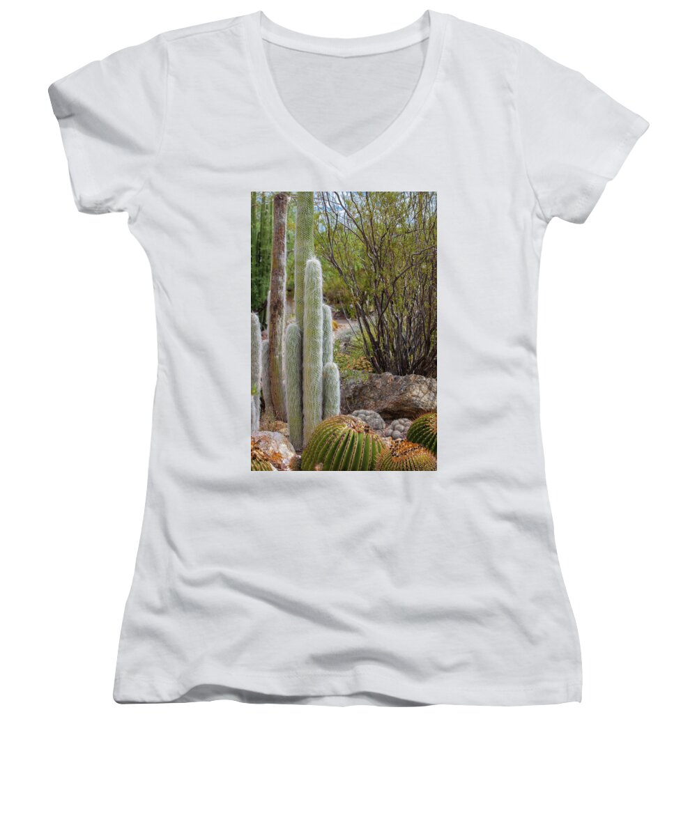Cacti III - Women's V-Neck