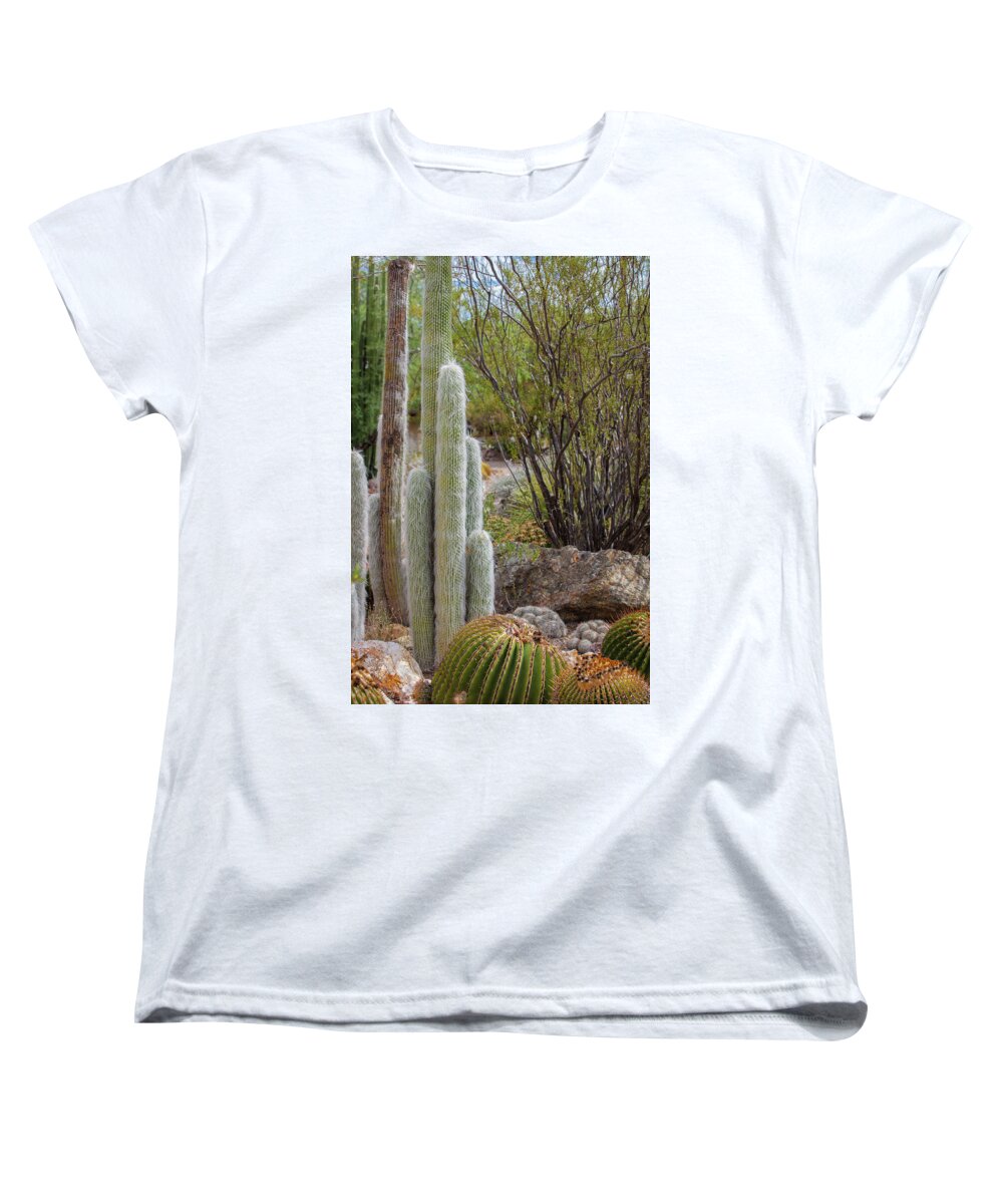 Cacti III - Women's T-Shirt (Standard Fit)