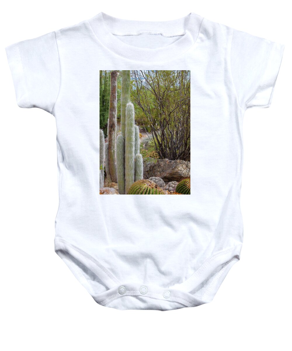 Cacti III - Baby Onesie