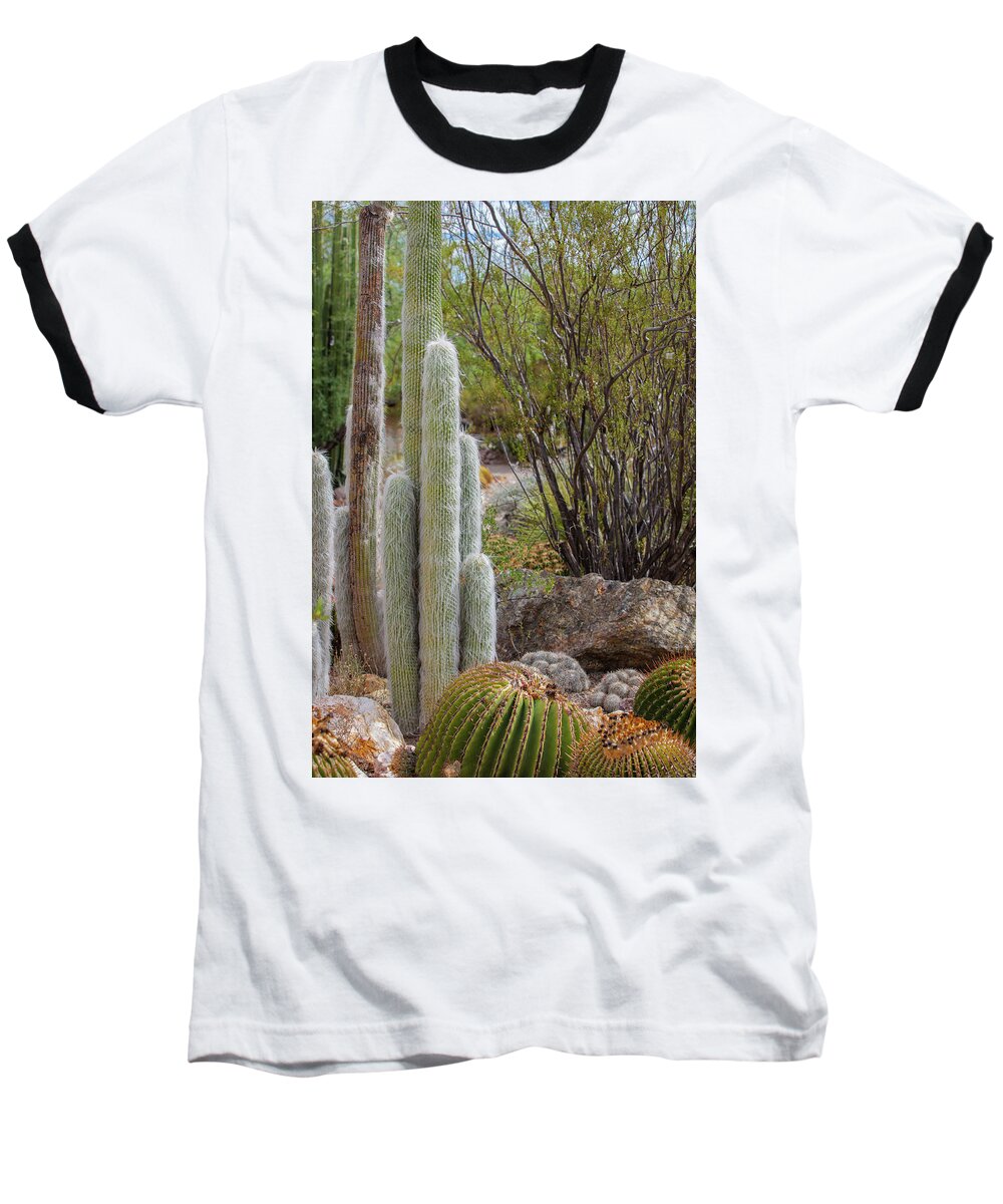 Cacti III - Baseball T-Shirt