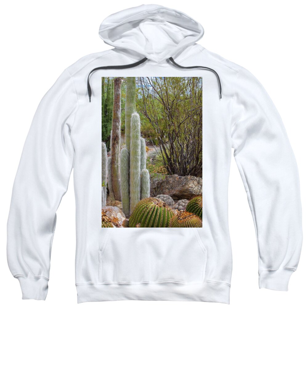 Cacti III - Sweatshirt