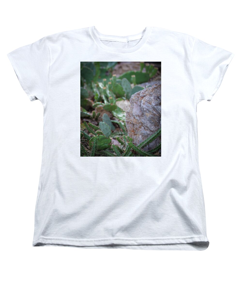 Cacti IV - Women's T-Shirt (Standard Fit)