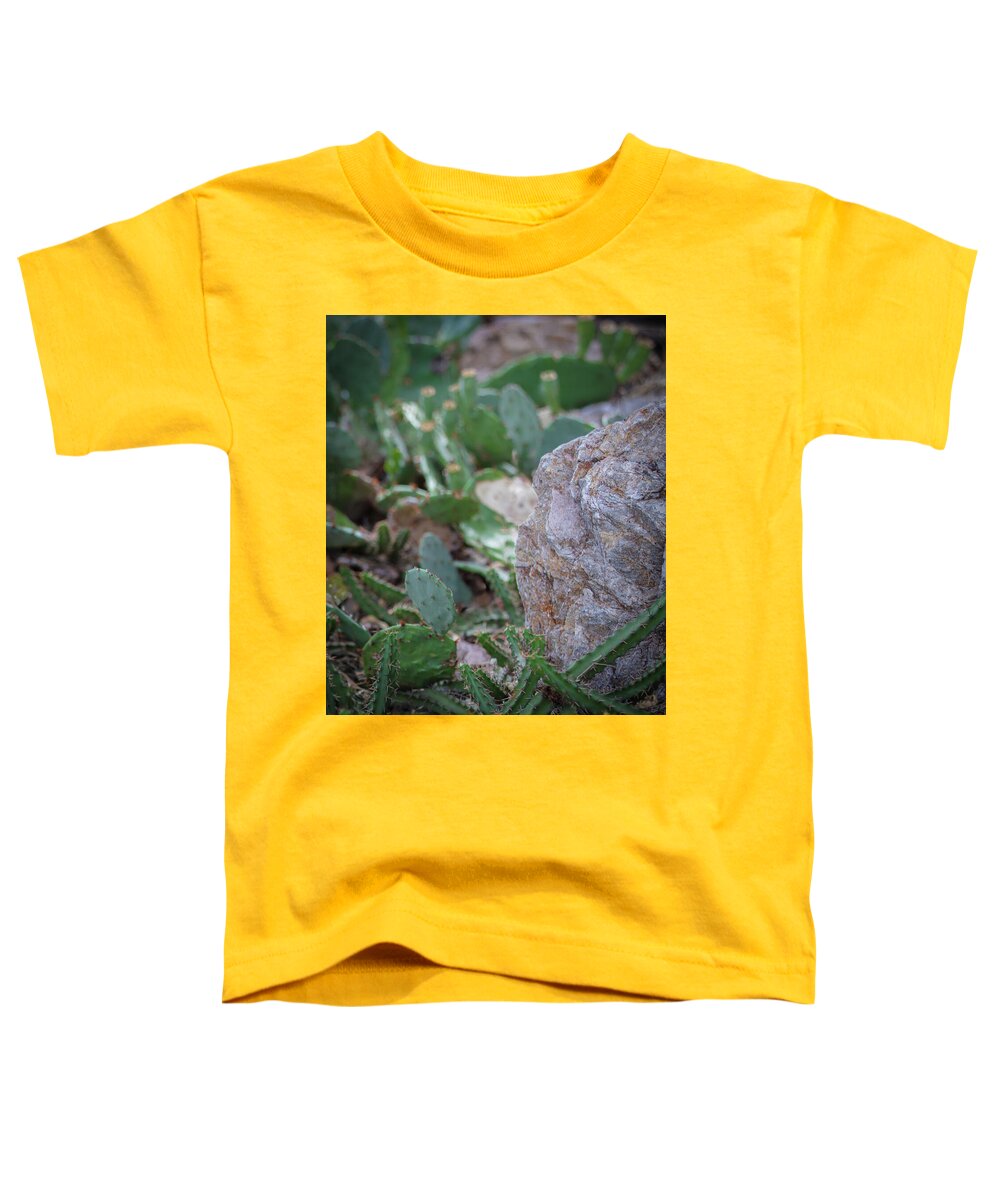 Cacti IV - Toddler T-Shirt