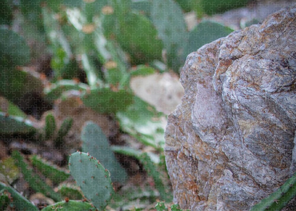 Cacti IV - Puzzle