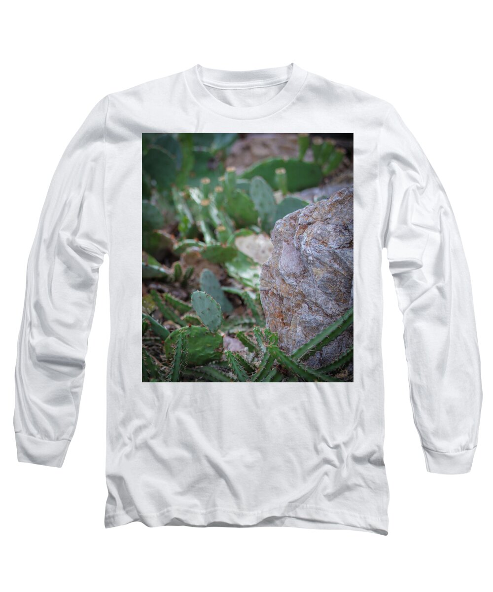 Cacti IV - Long Sleeve T-Shirt