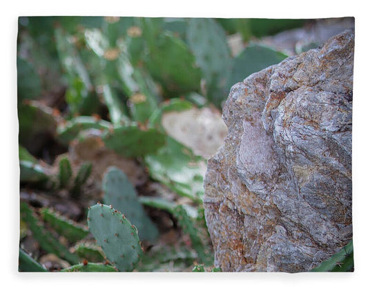 Cacti IV - Blanket