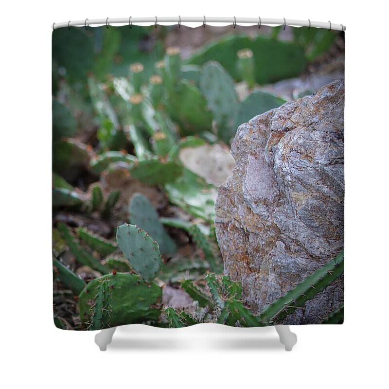 Cacti IV - Shower Curtain
