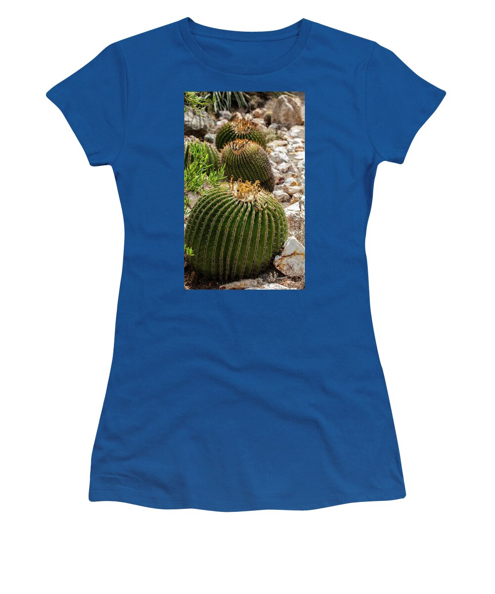 Cacti - Women's T-Shirt