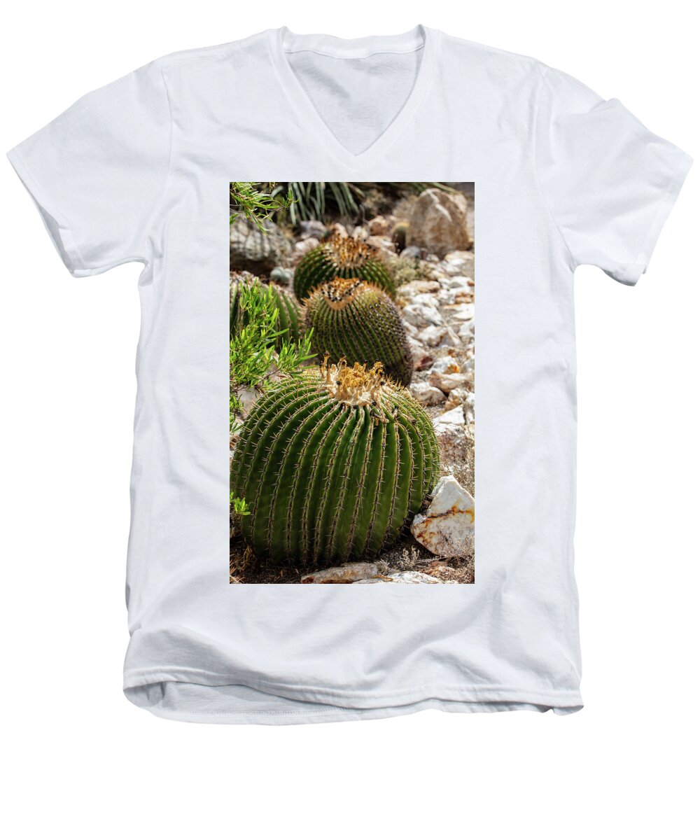 Cacti - Men's V-Neck T-Shirt
