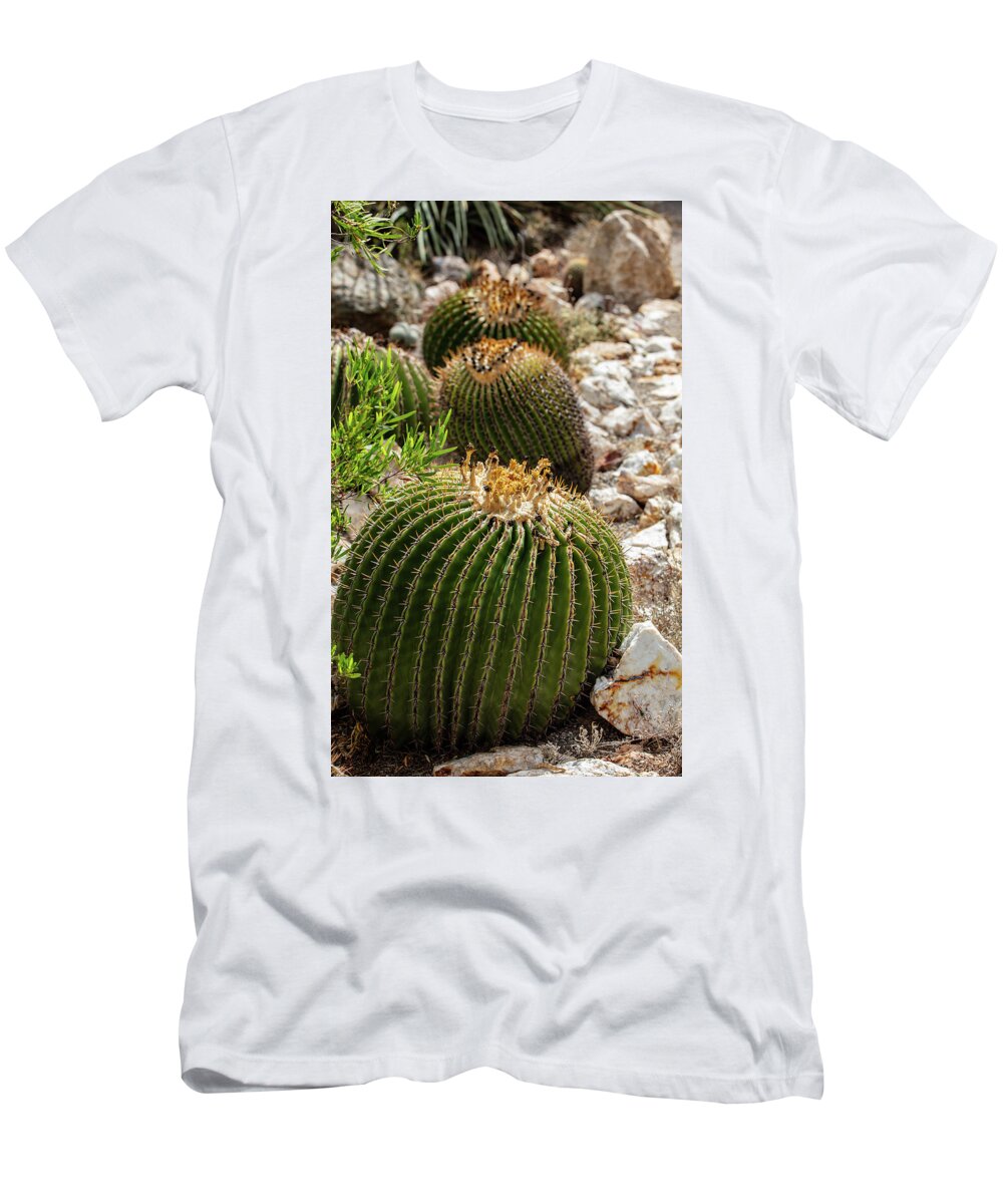 Cacti - T-Shirt
