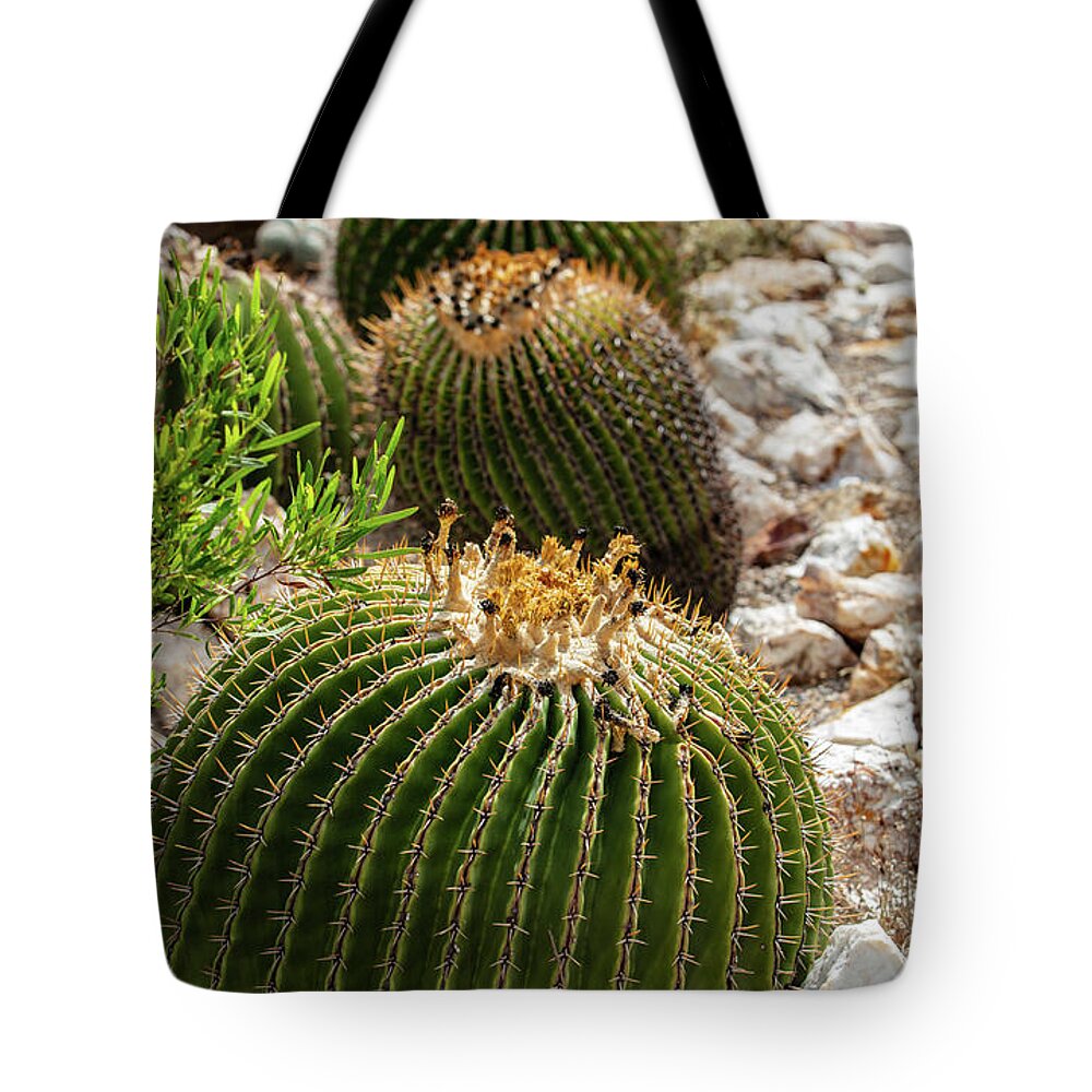 Cacti - Tote Bag