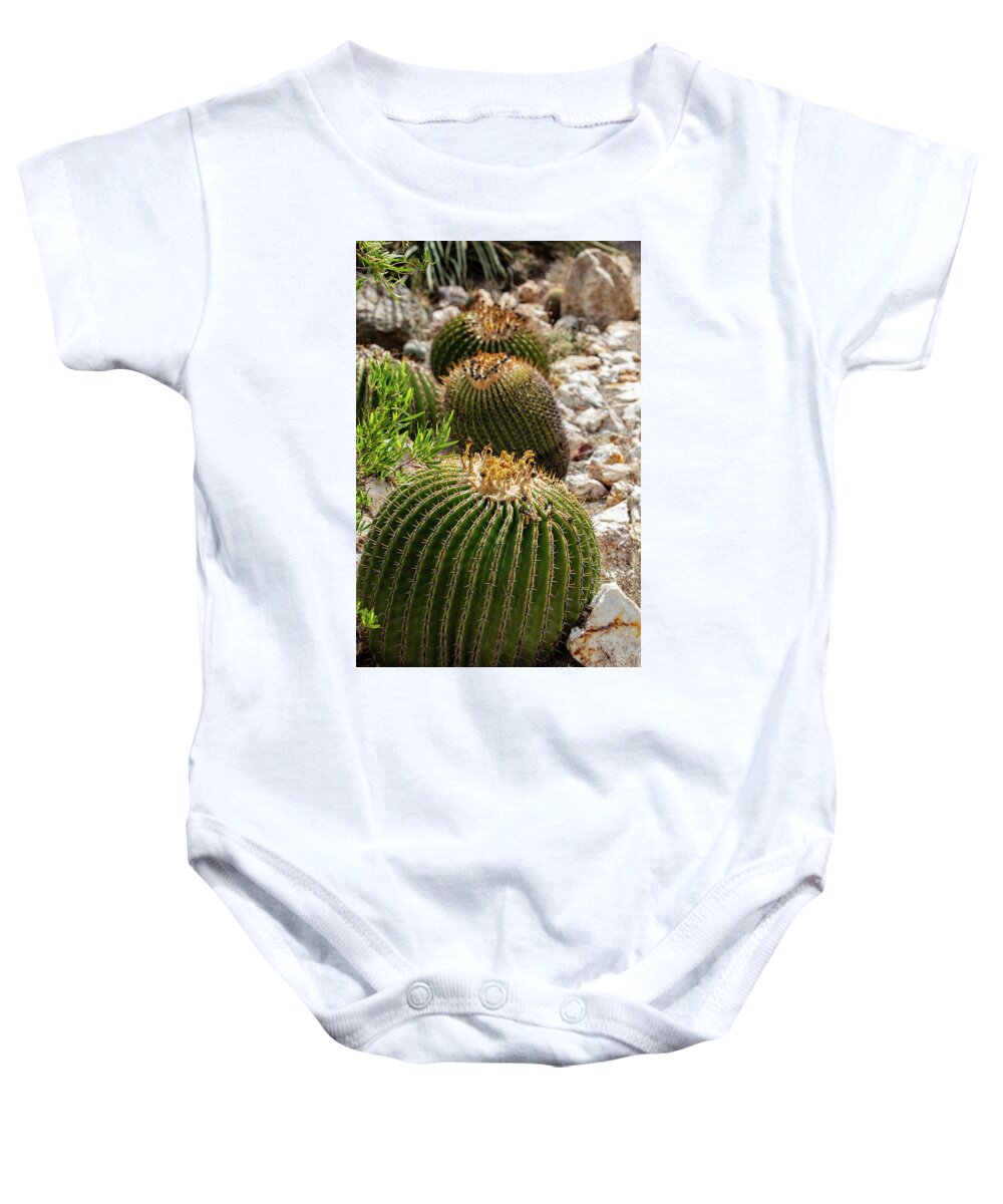 Cacti - Baby Onesie