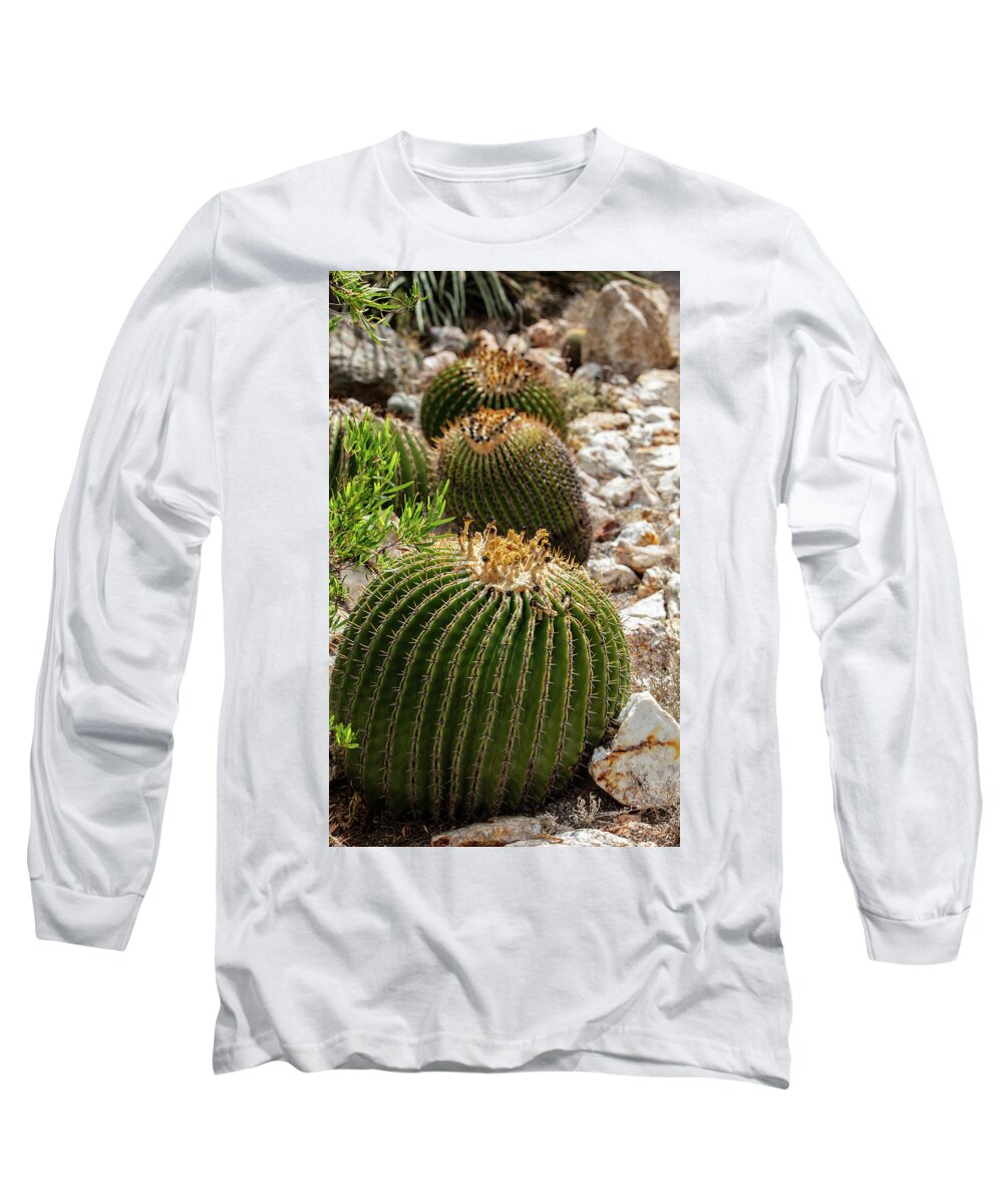 Cacti - Long Sleeve T-Shirt