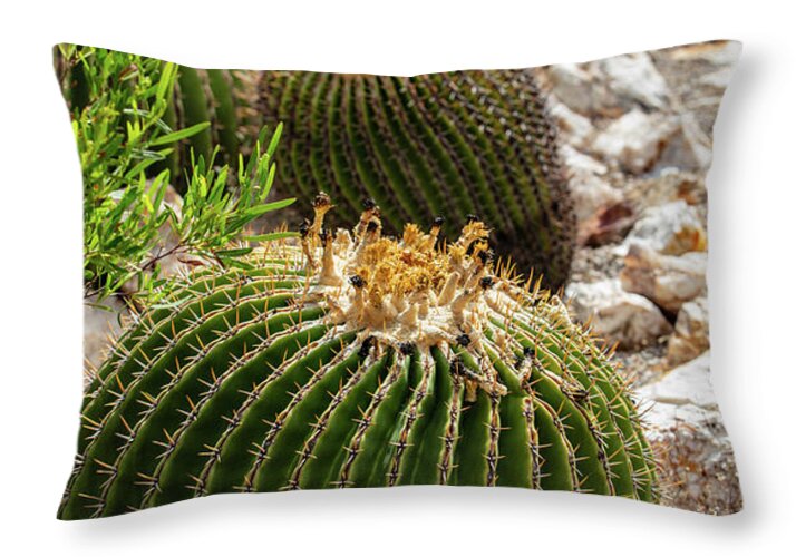 Cacti - Throw Pillow