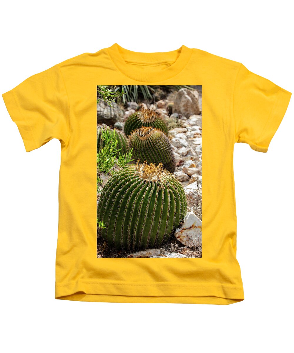 Cacti - Kids T-Shirt