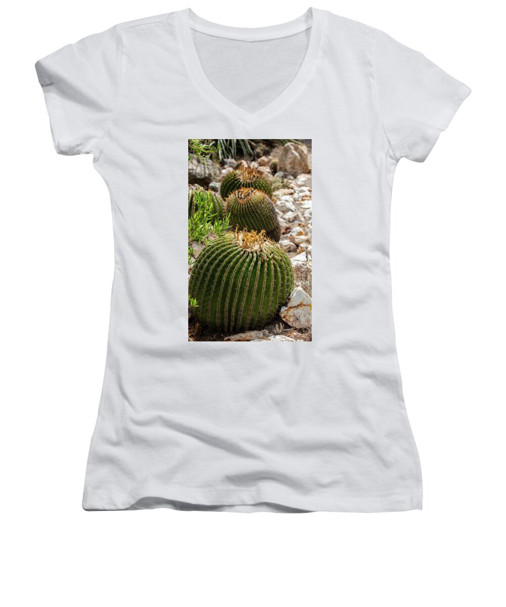 Cacti - Women's V-Neck