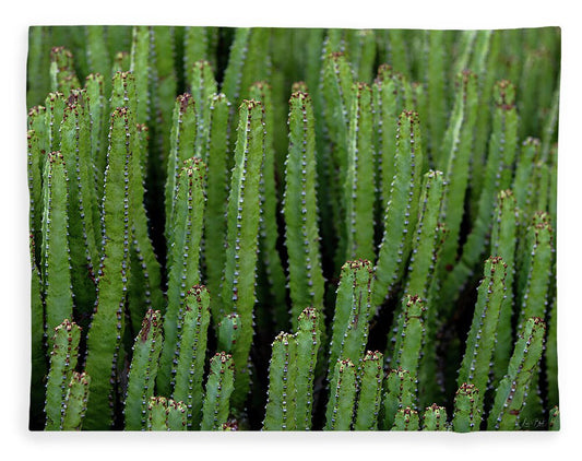 Cacti V - Blanket