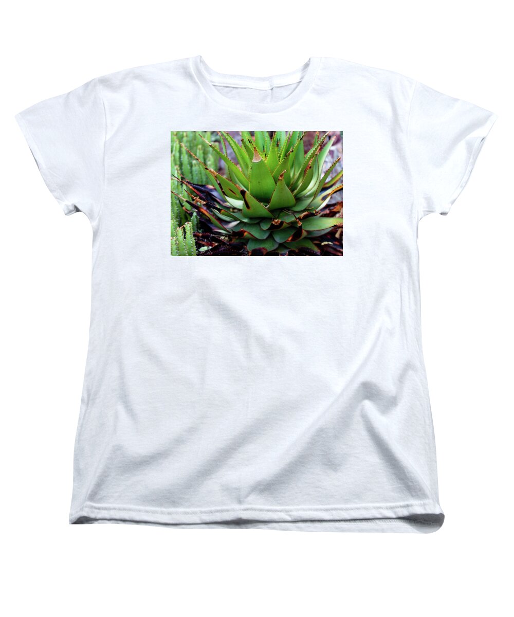 Cacti VI - Women's T-Shirt (Standard Fit)