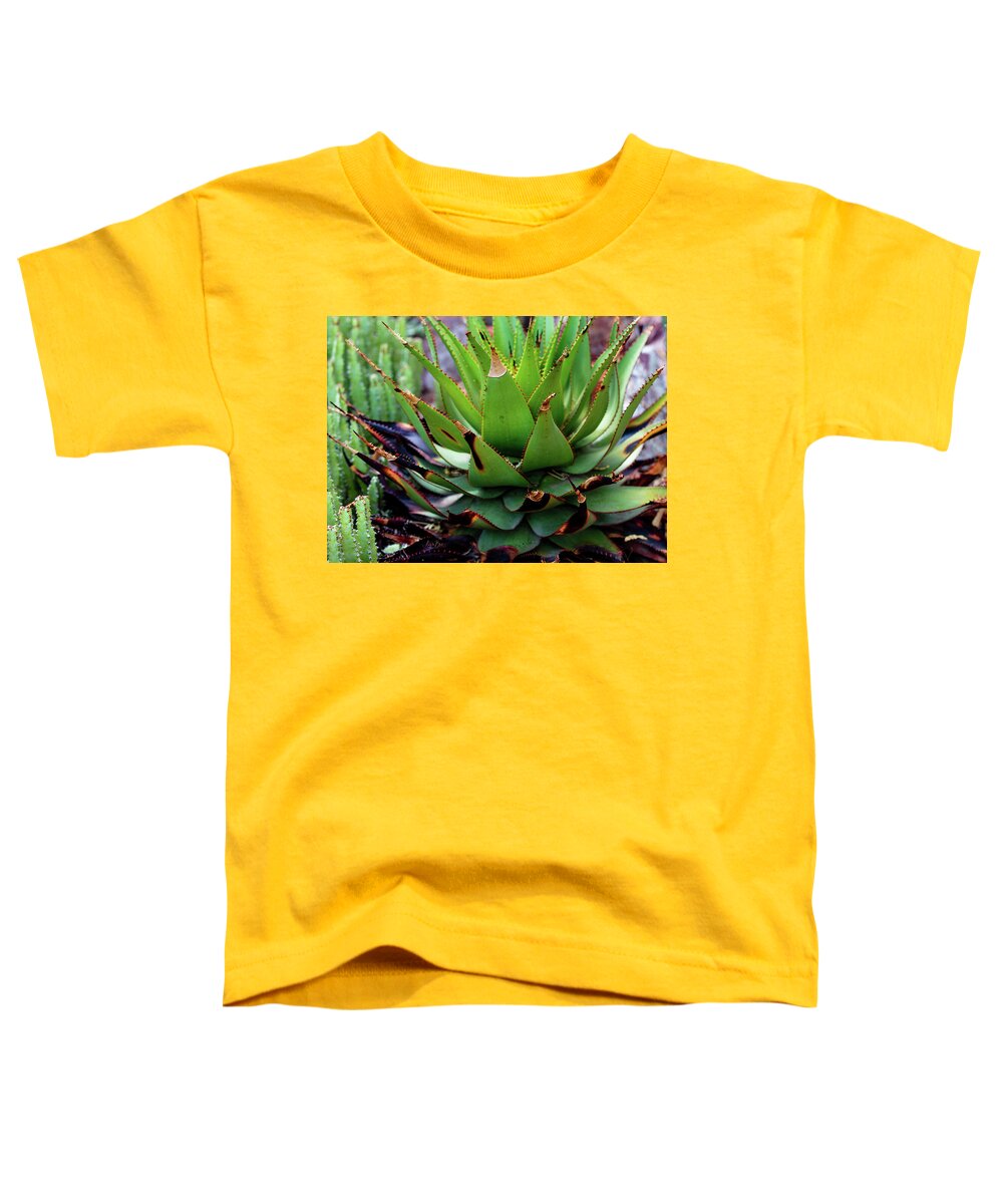 Cacti VI - Toddler T-Shirt