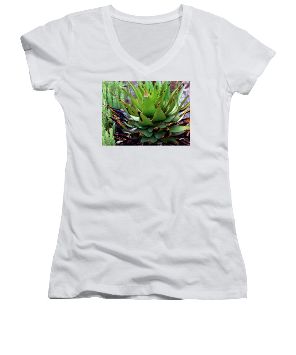 Cacti VI - Women's V-Neck