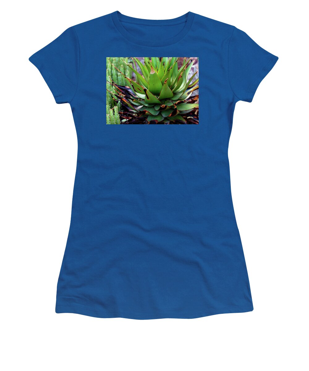 Cacti VI - Women's T-Shirt