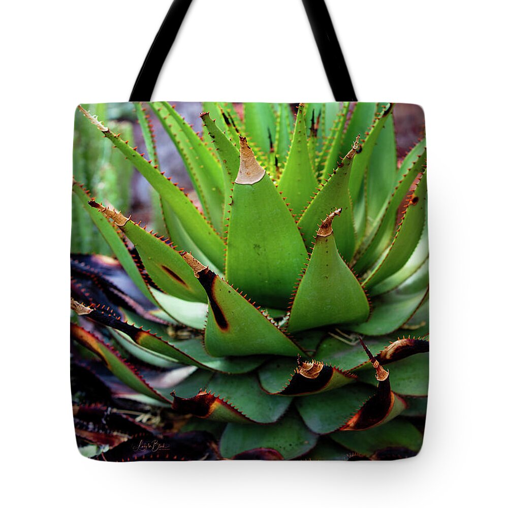 Cacti VI - Tote Bag