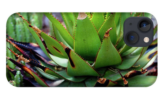 Cacti VI - Phone Case
