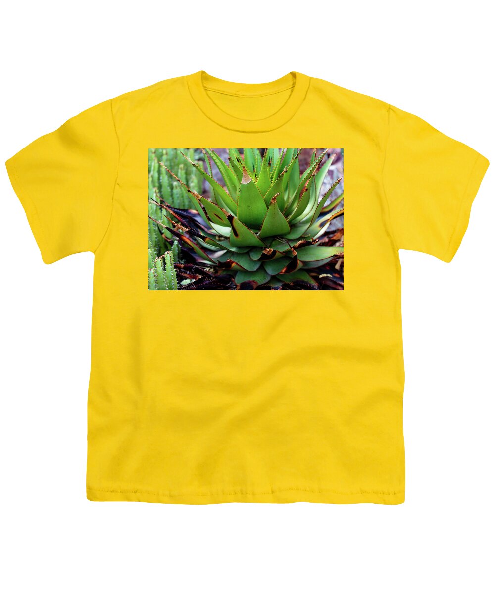 Cacti VI - Youth T-Shirt