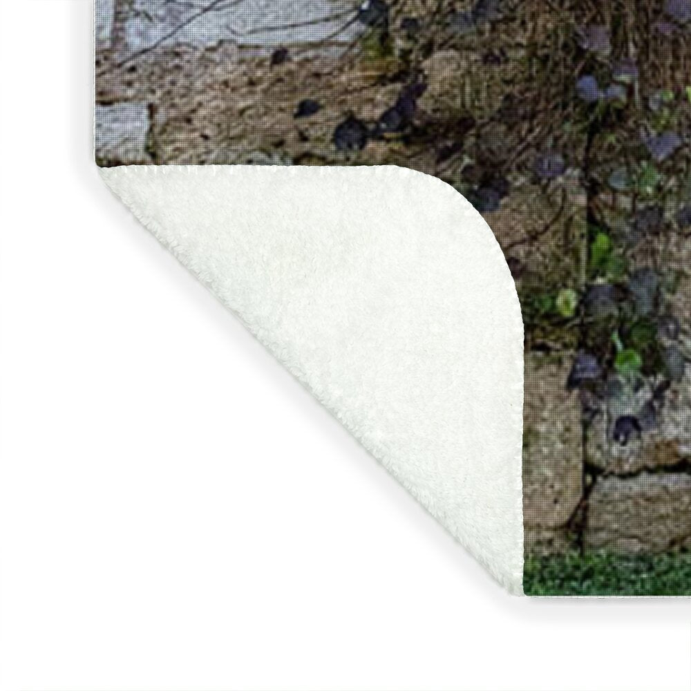 City Wall of Pisa - Blanket