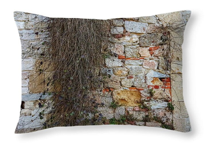 City Wall of Pisa - Throw Pillow