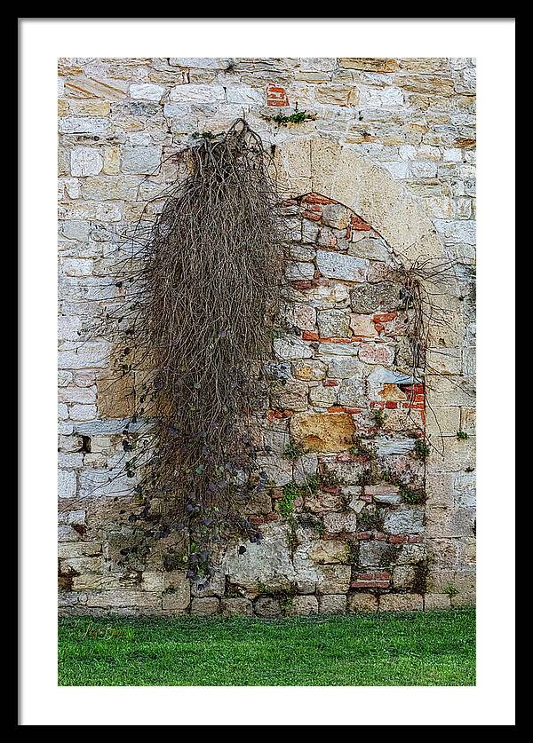 City Wall of Pisa - Framed Print
