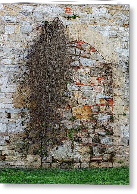 City Wall of Pisa - Greeting Card