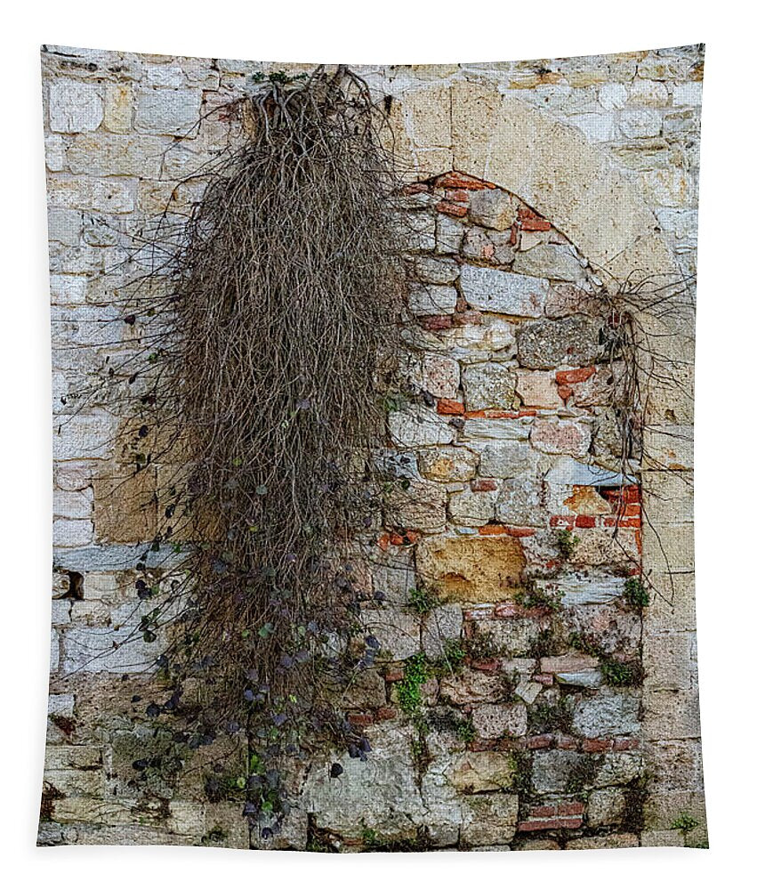 City Wall of Pisa - Tapestry