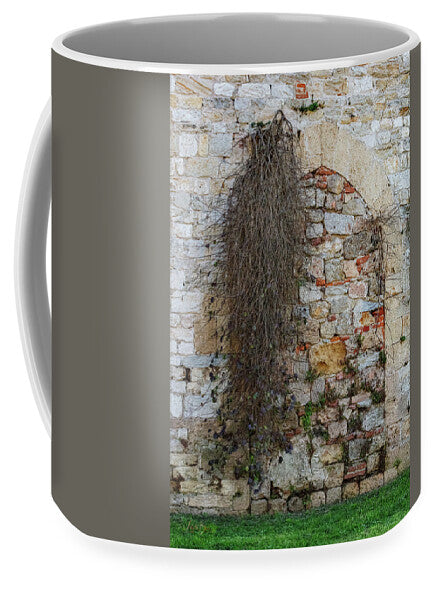 City Wall of Pisa - Mug
