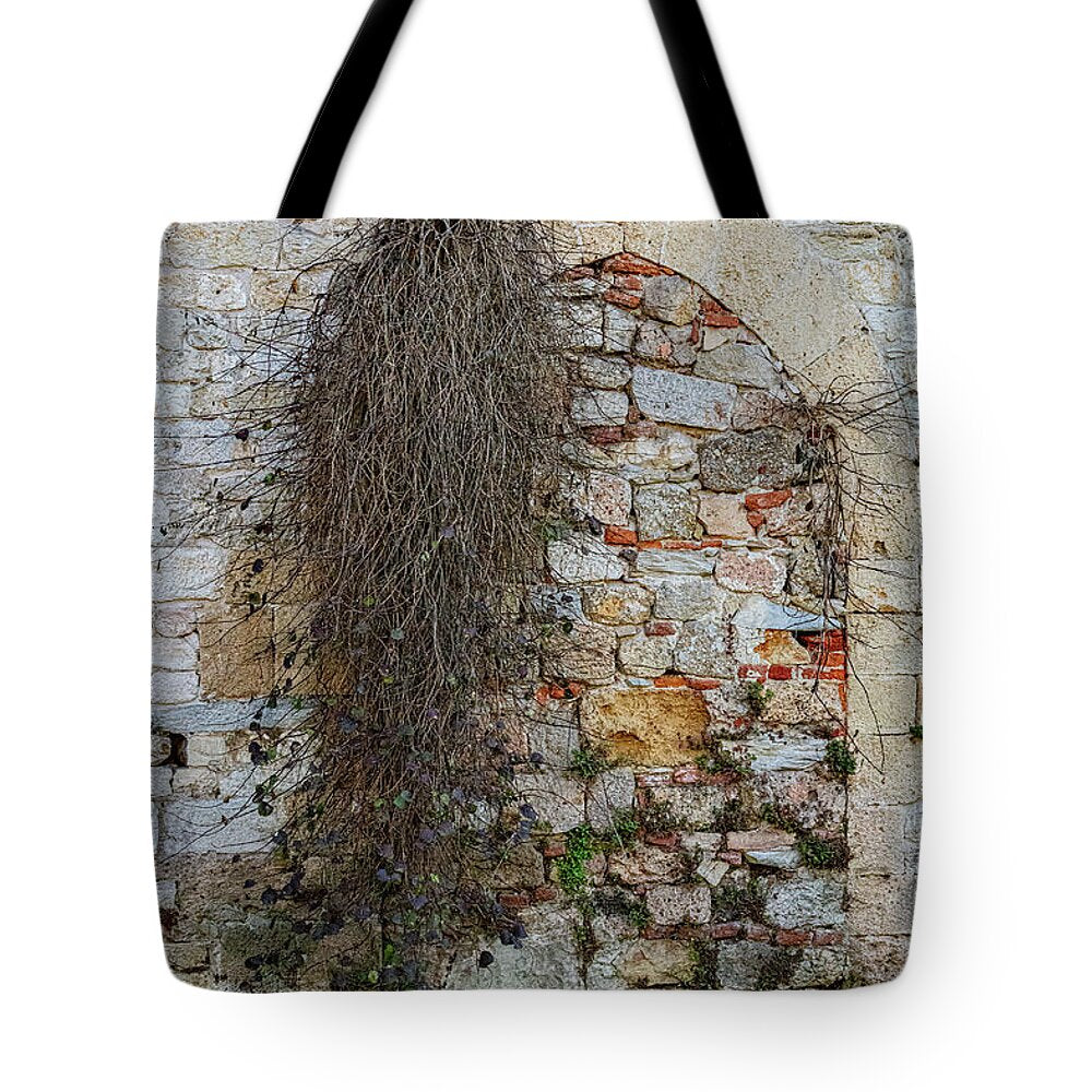 City Wall of Pisa - Tote Bag