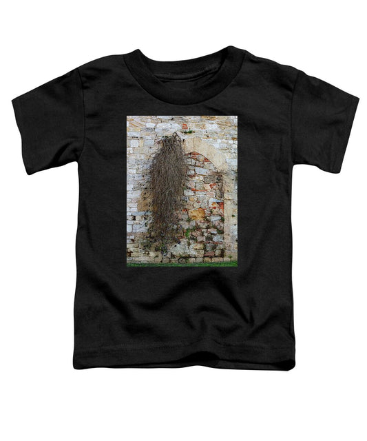 City Wall of Pisa - Toddler T-Shirt