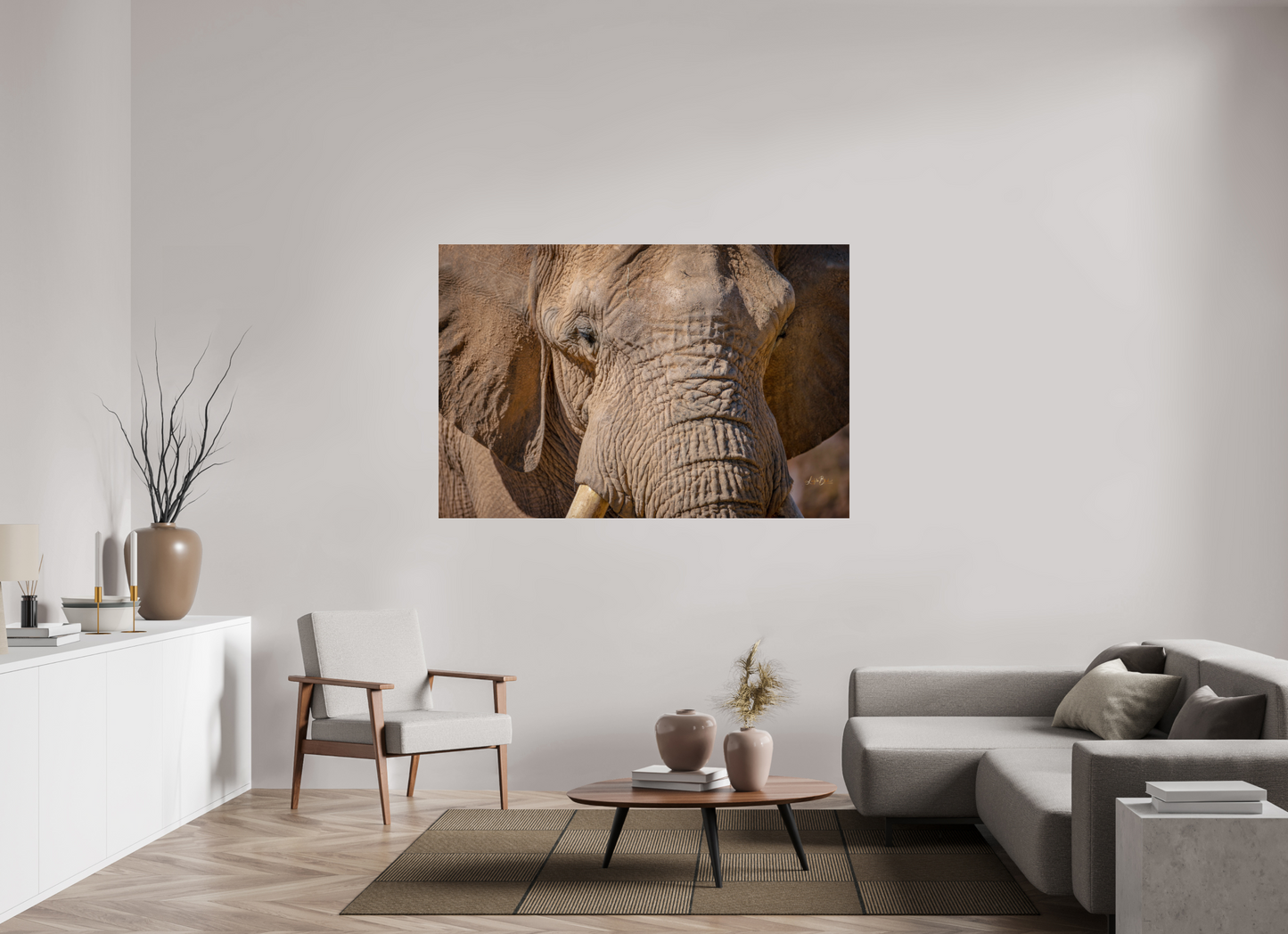 66 x 44″, Photo Print Under Acrylic Glass Ellie All Ears