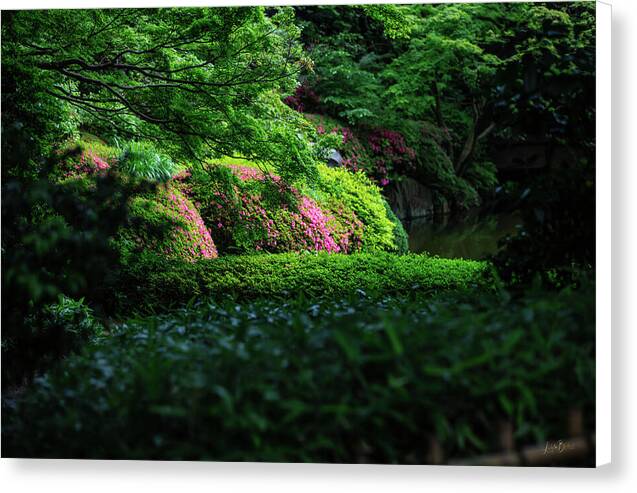 Gardens of Tokyo II - Canvas Print