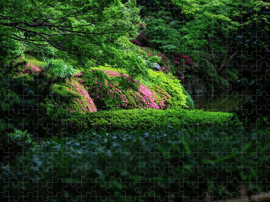 Gardens of Tokyo II - Puzzle