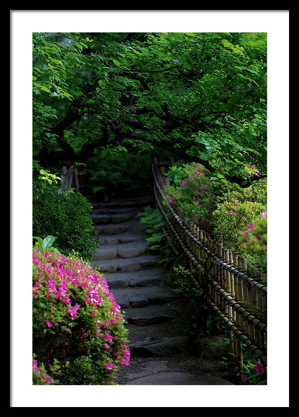 Gardens of Tokyo III - Framed Print