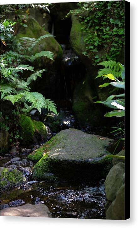 Gardens of Tokyo IV - Canvas Print